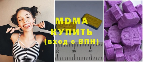 гашик Алексеевка