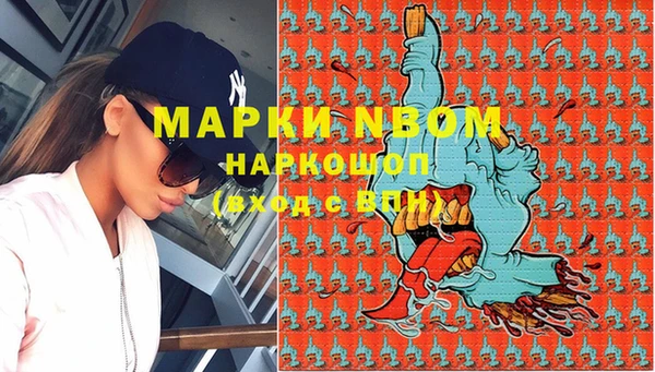 ПСИЛОЦИБИНОВЫЕ ГРИБЫ Алзамай