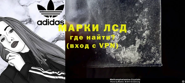 ПСИЛОЦИБИНОВЫЕ ГРИБЫ Алзамай