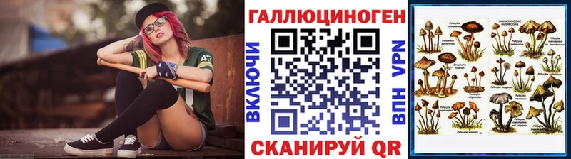 Галлюциногенные грибы Cubensis  OMG   Петровск-Забайкальский 